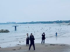 -老虎石海上公园