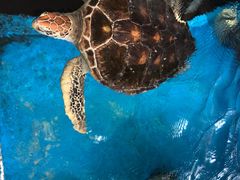 -成都浩海立方海洋公园