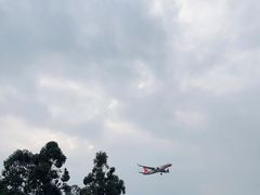 -空港花田景区
