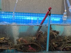 -七欣天香辣蟹火锅(南京桥北太平店)