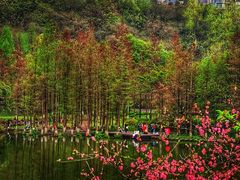 -重庆彩云湖湿地公园