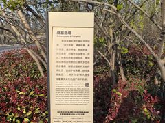 -丝绸小镇荻港古村
