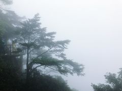 -三清山希尔顿度假酒店