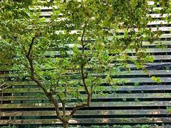 -LUNEURS月乐诗·法式冰淇淋(环贸店)