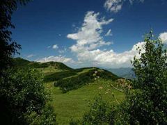 -野三坡百草畔景区