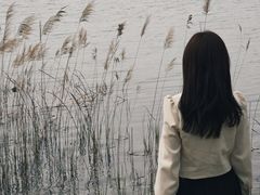 -南湖国家城市湿地公园