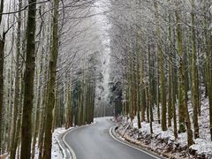 -山王坪喀斯特国家生态公园