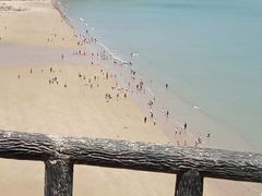 -云南巷海鲜大咖·可加工海鲜