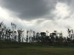 -白鹭湾湿地公园