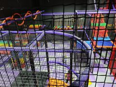 -Tenker Club弹刻极限主题公园 · 蹦床 · 团建 · 生日派对(大关店)