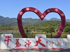 -田野绿世界