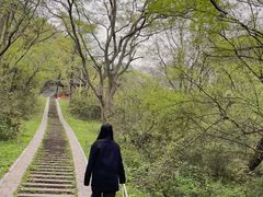 -青龙山国家森林公园