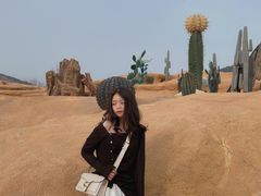 -西海岸生态观光园