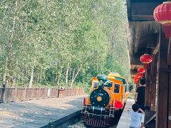 -合肥滨湖国家森林公园