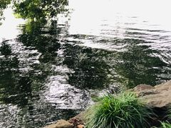 -苏堤停车场