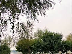-东郊湿地公园