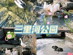-三里河公园