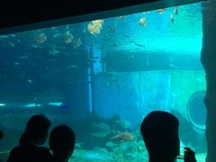 -北戴河圣蓝海洋公园