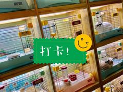 -宠物兔专门店(天丰利市场店)