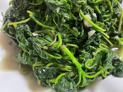 -翡翠老鸭店