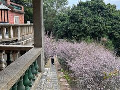-草庵摩尼教遗址公园