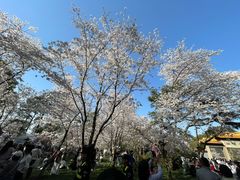 -泰州凤城河风景区-泰山公园