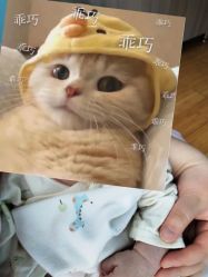 -贝美月子中心(海璟店)