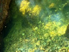 -牛背梁国家森林公园