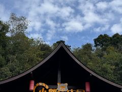 -普洱太阳河森林公园