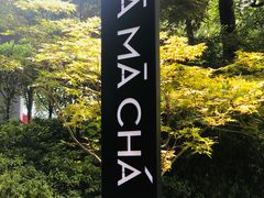 -MAMACHA妈妈茶(岳麓山店)