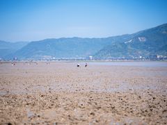 -北岐滩涂