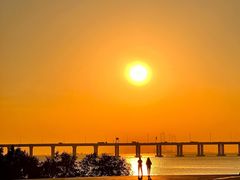 -宝安西湾红树林湿地公园