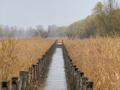 -野鸭湖国家湿地公园