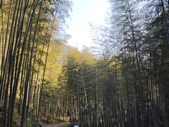-黄公望隐居地