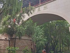 -西安曲江寒窑遗址公园