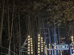 -杭州黄龙洞