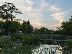 -映月湖公园