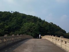 -李小龙乐园(顺德均安店)