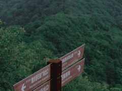 -阳台山森林公园
