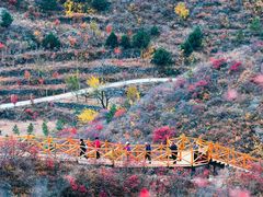 -水峪民俗村
