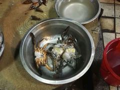 -皮蛋弟砂锅店(总店)