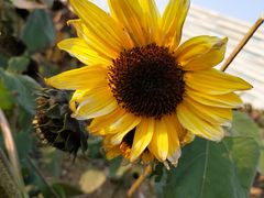 -武汉理工大学（南湖新校区）-图书馆