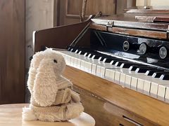 -破店肥哈·东北烧烤(南头店)