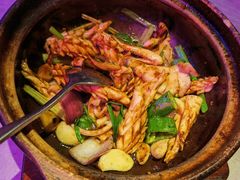 啫啫鲜鱿鱼-啫神·广州地标美食(北京路店)