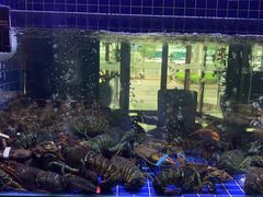 -徐记海鲜(观沙岭|滨江新城店)