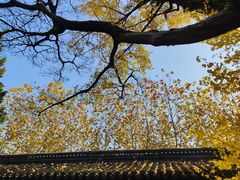 -苏州碑刻博物馆