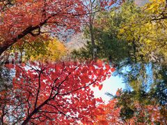 -北京十三陵国家森林公园蟒山景区