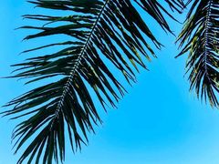 -启东恒大海上威尼斯酒店