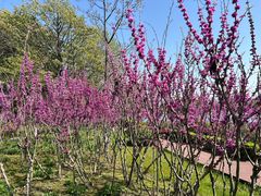 -上海市保健医疗中心