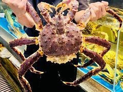 -德米火锅(深圳湾1号旗舰店)